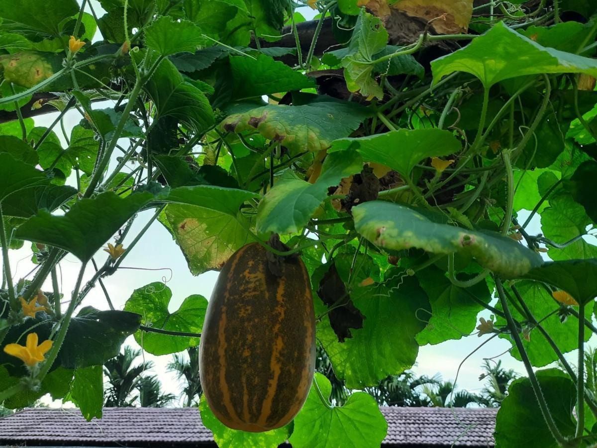 Jasmine Land Homestay Udupi Dış mekan fotoğraf